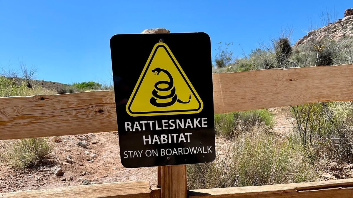 Rattlesnake-Habitat-Death-Valley