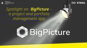 BigPicture explained