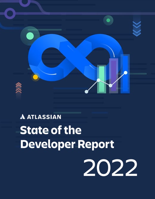 Stateof theDeveoper-1